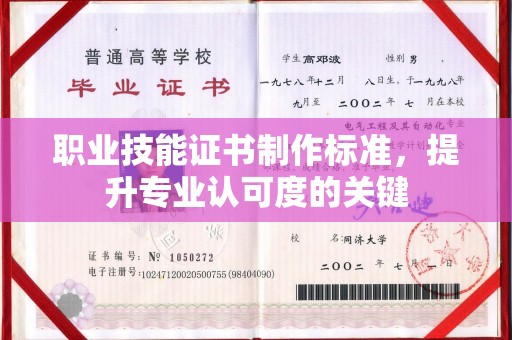 黄圃职业技能证书制作标准，提升专业认可度的关键