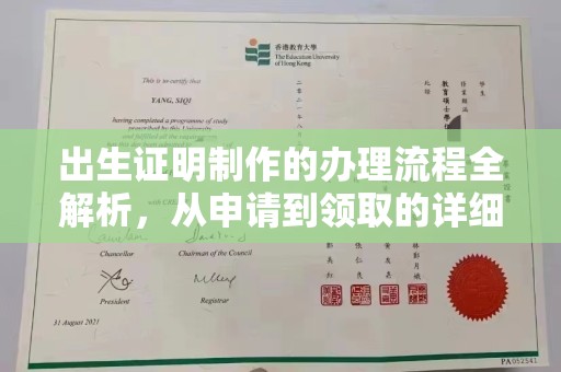 黄圃出生证明制作的办理流程全解析，从申请到领取的详细指南